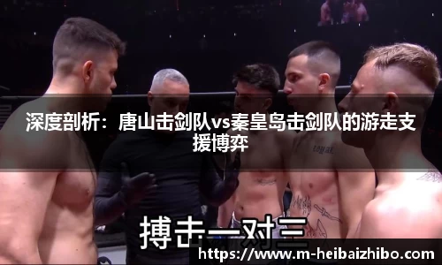 黑白体育直播APP
