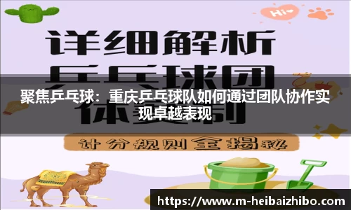 黑白体育高清直播
