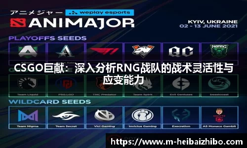 黑白体育高清直播